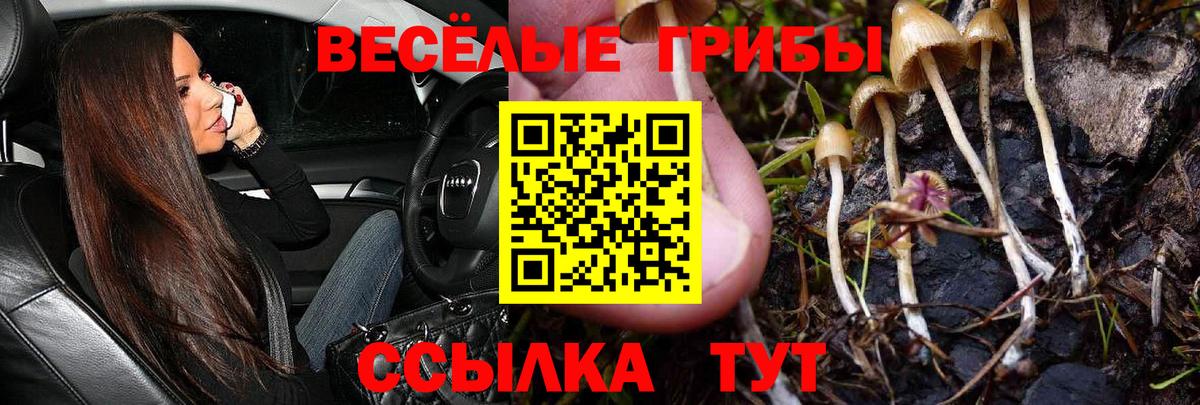 Галлюциногенные грибы мухоморы  дарнет шоп  Вход с VPN  Еманжелинск  Псилоцибиновые грибы Psilocybine cubensis 
