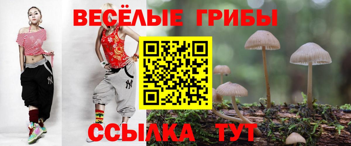 Псилоцибиновые грибы Psilocybine cubensis Еманжелинск